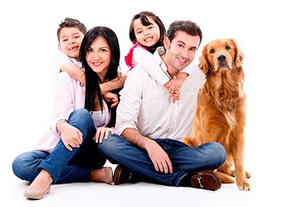 Toxique pour la famille
