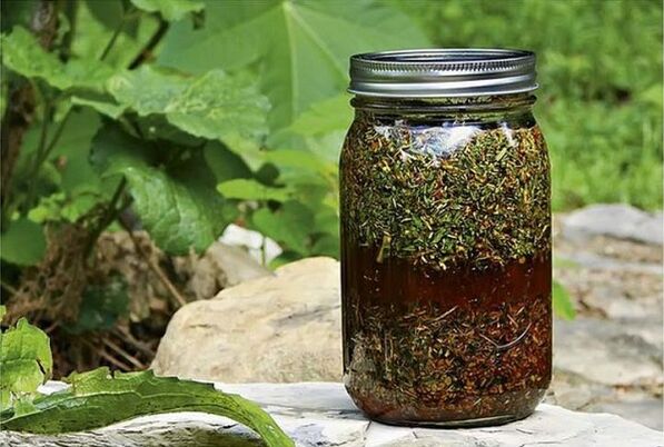 infusion de plantes contre les parasites